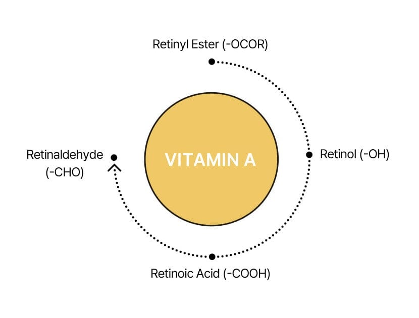 화면 캡처 2025-04-02 133520.jpg__PID:7db03d76-acbb-419c-b780-8b95400bb509